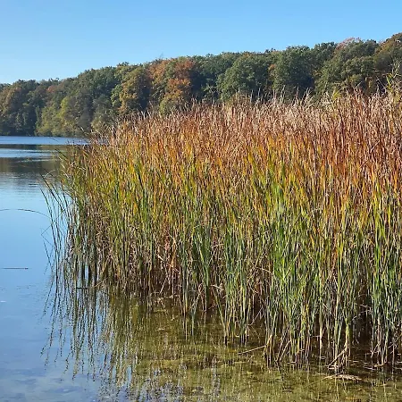 Sommerhaus Am Trebuser Tatil Evi *