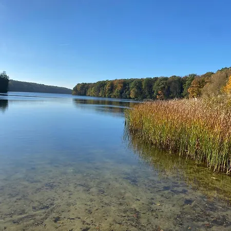 Hébergement de vacances Sommerhaus Am Trebuser Fürstenwalde