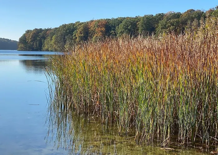 Sommerhaus Am Trebuser 別荘 *